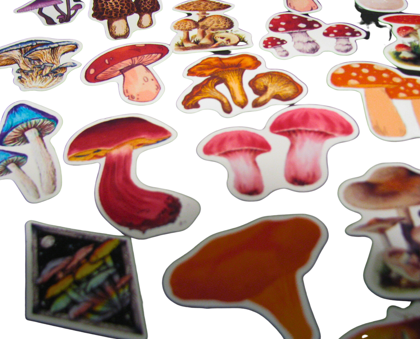 Assorted Mushroom Stickers - Pack of 10